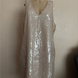 Target Cream Sequin Dress